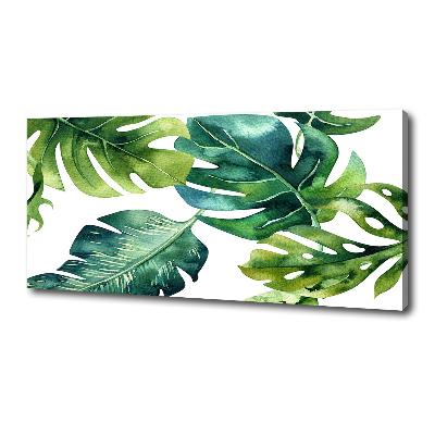 Tableau photo sur toile Feuilles tropicales