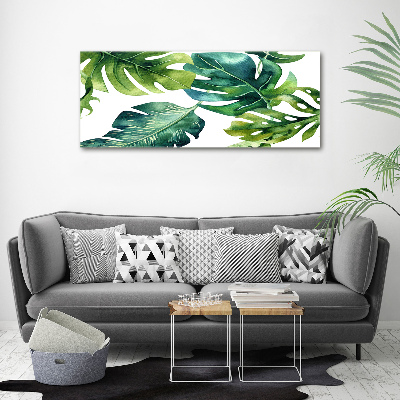 Tableau photo sur toile Feuilles tropicales