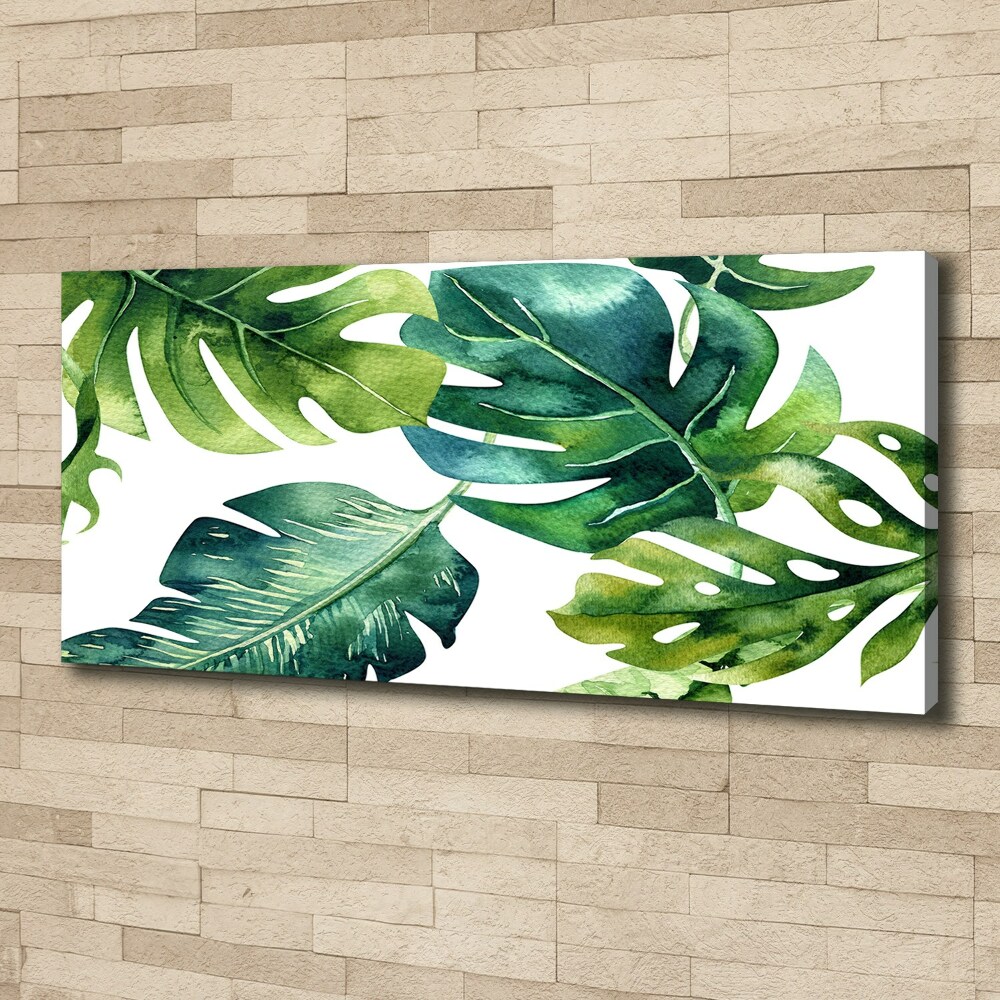 Tableau photo sur toile Feuilles tropicales