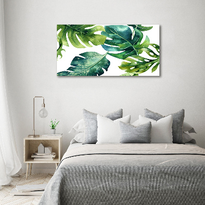 Tableau photo sur toile Feuilles tropicales