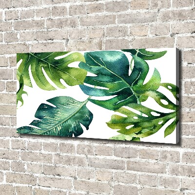 Tableau photo sur toile Feuilles tropicales