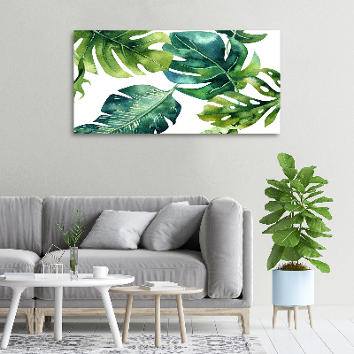 Tableau photo sur toile Feuilles tropicales