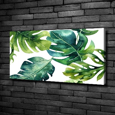 Tableau photo sur toile Feuilles tropicales