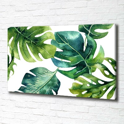 Tableau photo sur toile Feuilles tropicales