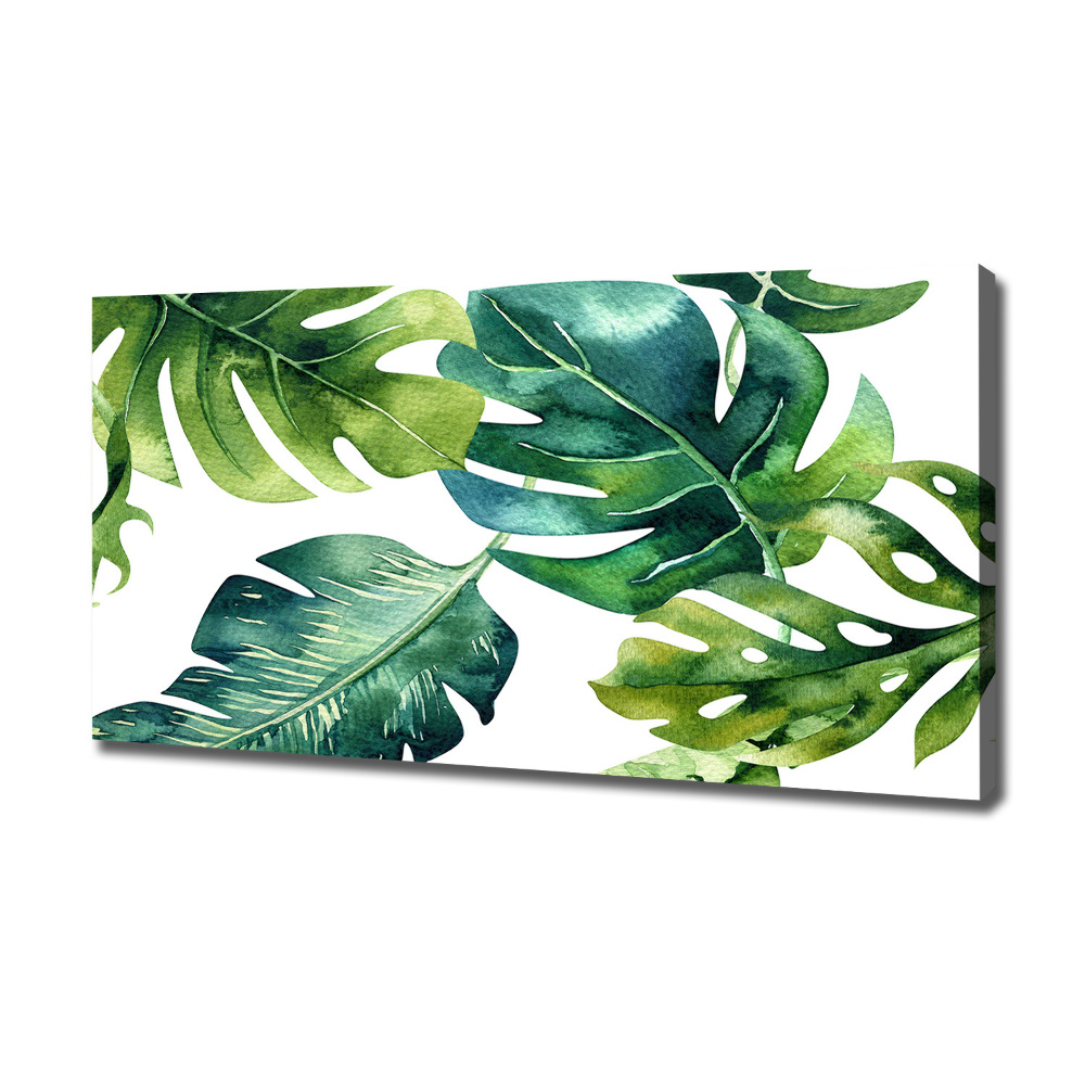 Tableau photo sur toile Feuilles tropicales