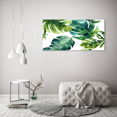 Tableau photo sur toile Feuilles tropicales