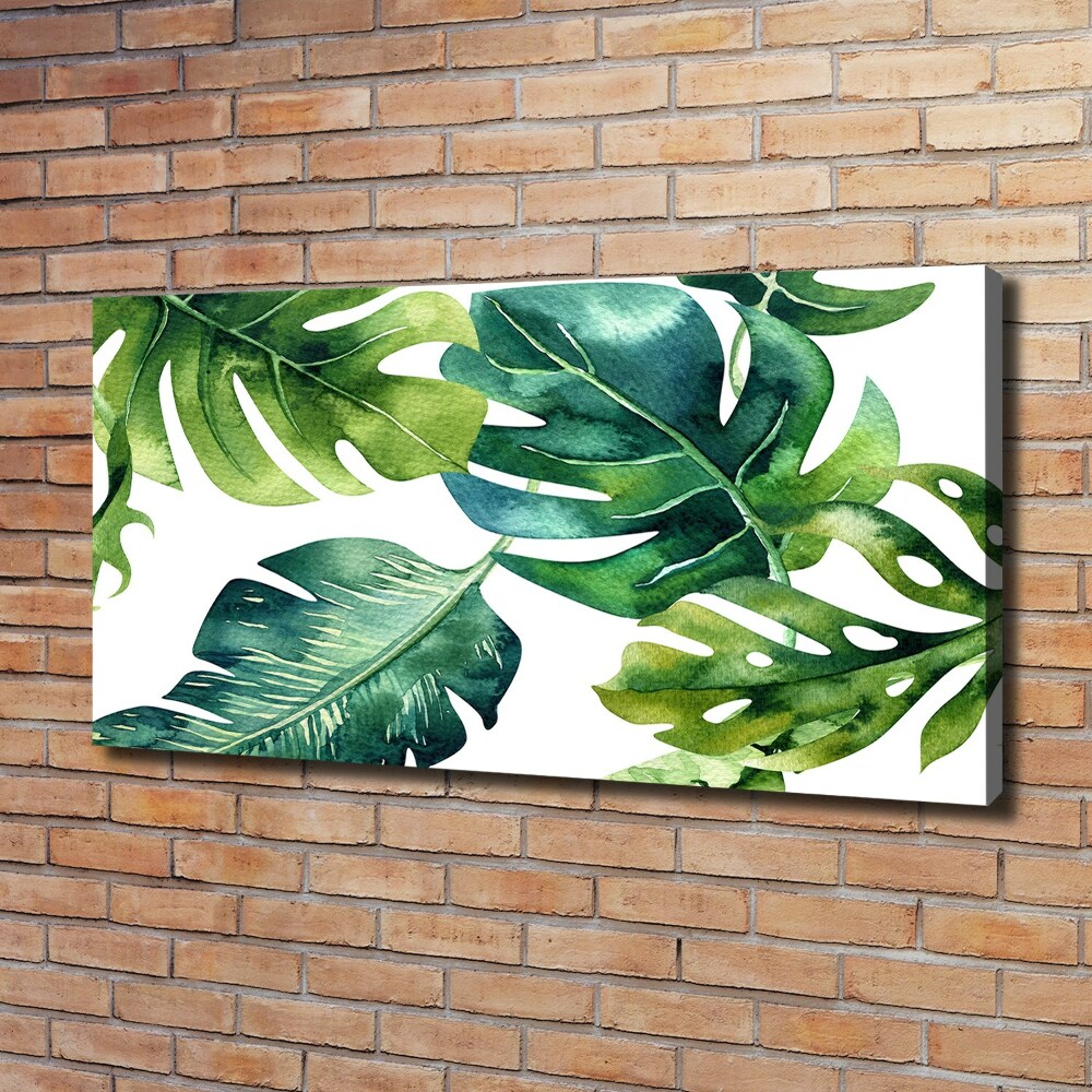 Tableau photo sur toile Feuilles tropicales