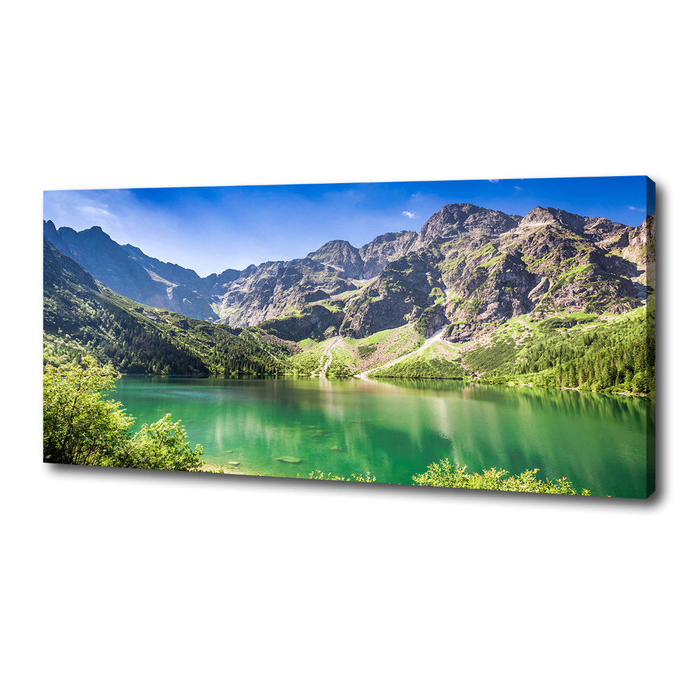 Tableau mural sur toile Oeil moral Tatras