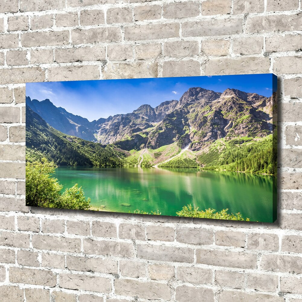 Tableau mural sur toile Oeil moral Tatras