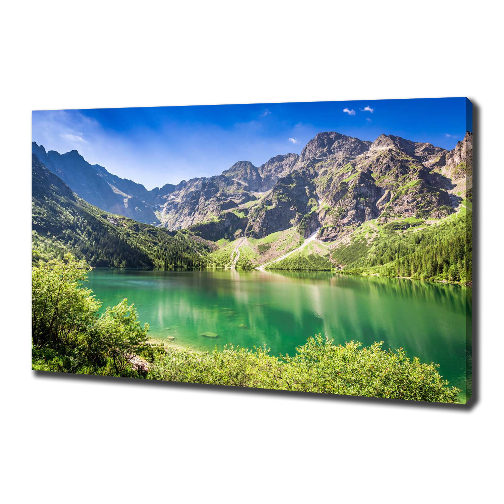 Tableau mural sur toile Oeil moral Tatras