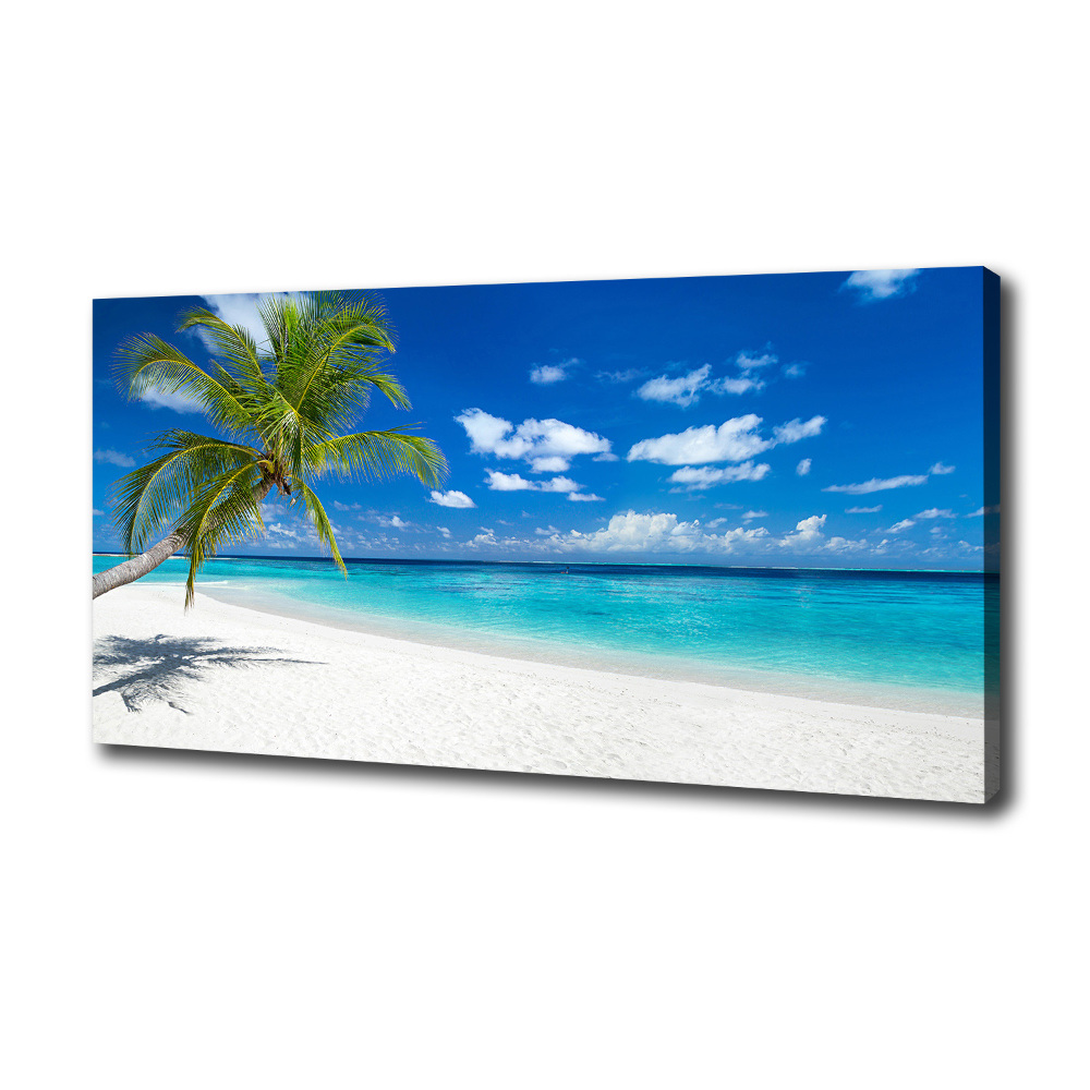 Tableau photo sur toile Plage tropicale