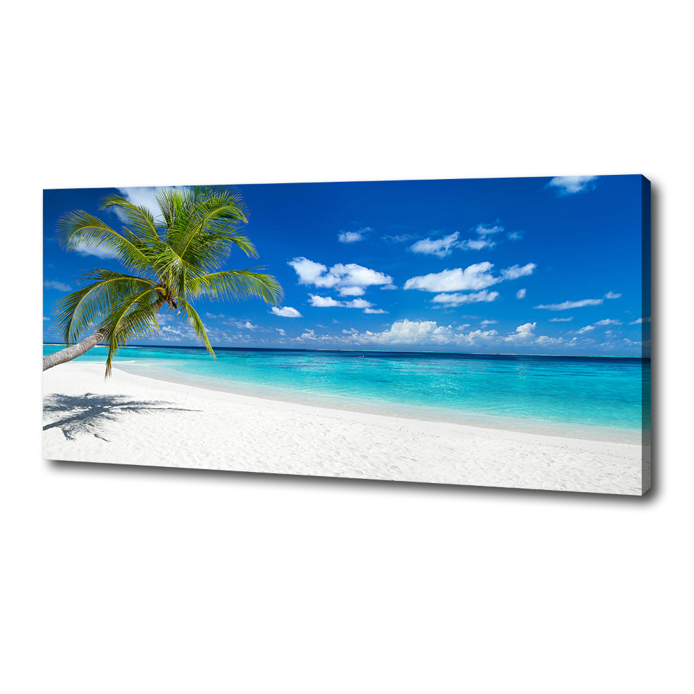 Tableau photo sur toile Plage tropicale