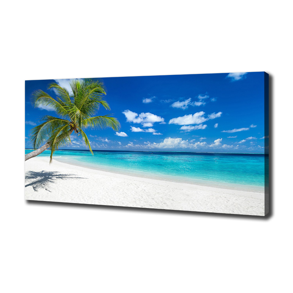 Tableau photo sur toile Plage tropicale