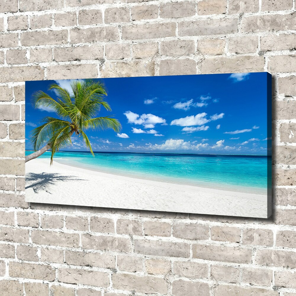 Tableau photo sur toile Plage tropicale