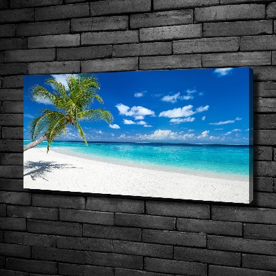 Tableau photo sur toile Plage tropicale