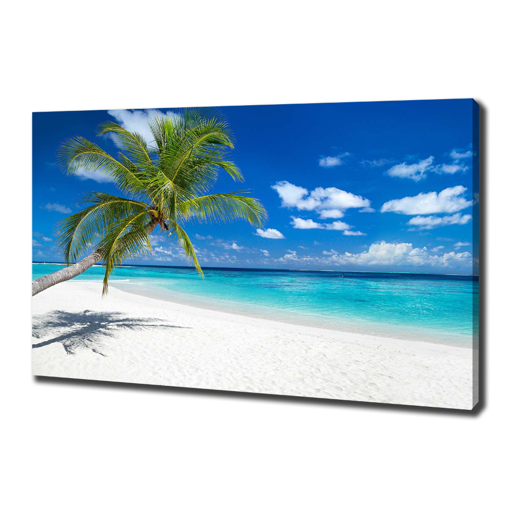 Tableau photo sur toile Plage tropicale