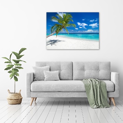 Tableau photo sur toile Plage tropicale