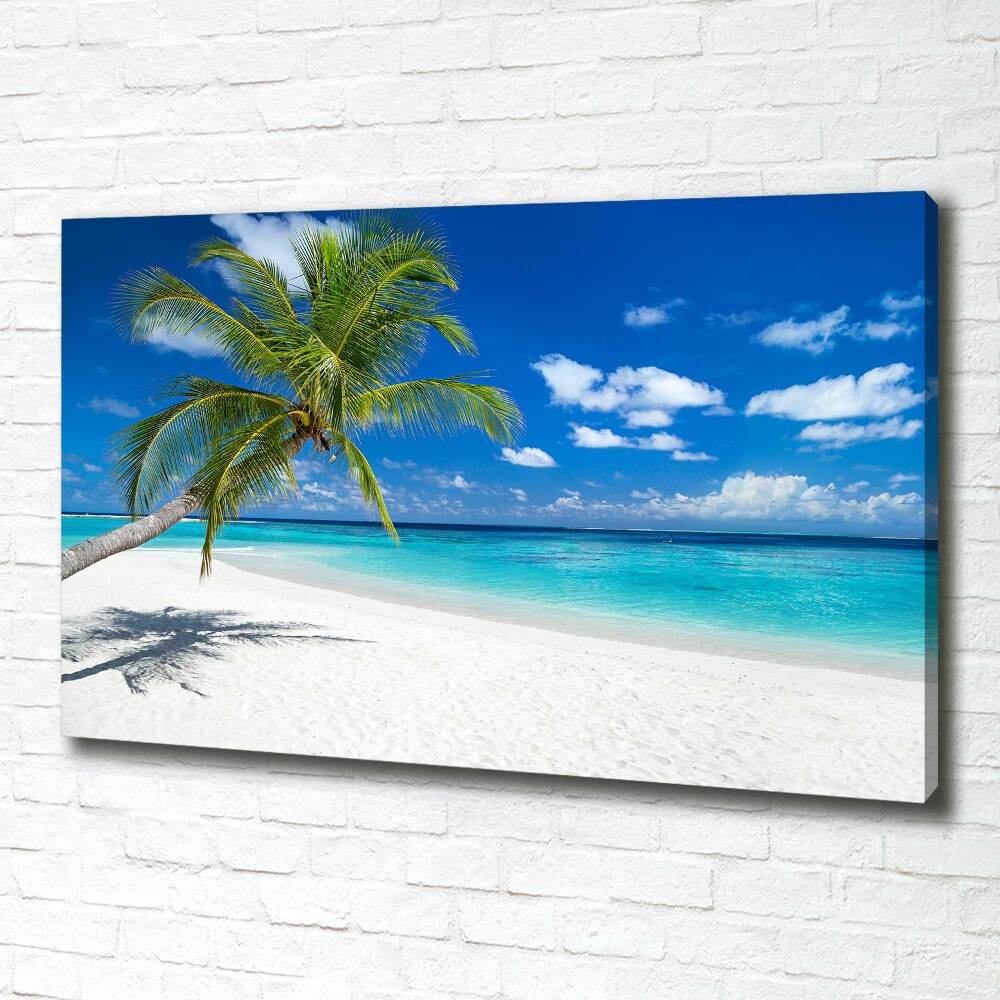 Tableau photo sur toile Plage tropicale