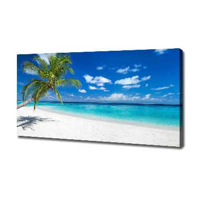 Tableau photo sur toile Plage tropicale