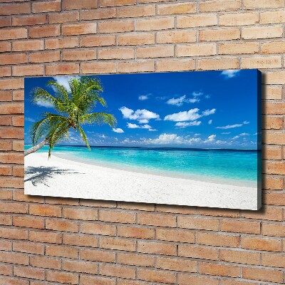 Tableau photo sur toile Plage tropicale