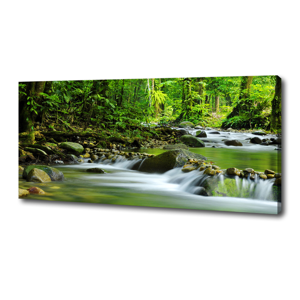 Tableau photo sur toile Ruisseau de montagne