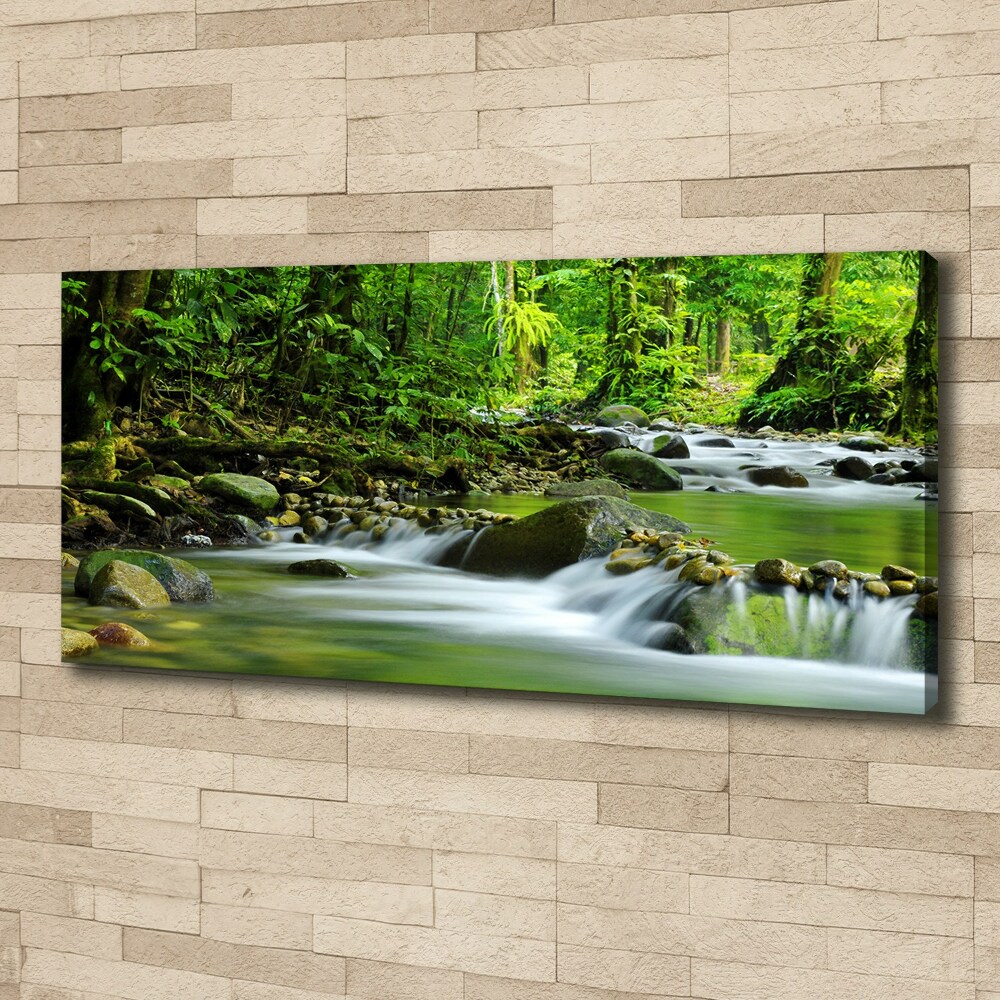 Tableau photo sur toile Ruisseau de montagne