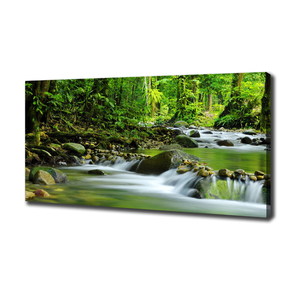 Tableau photo sur toile Ruisseau de montagne