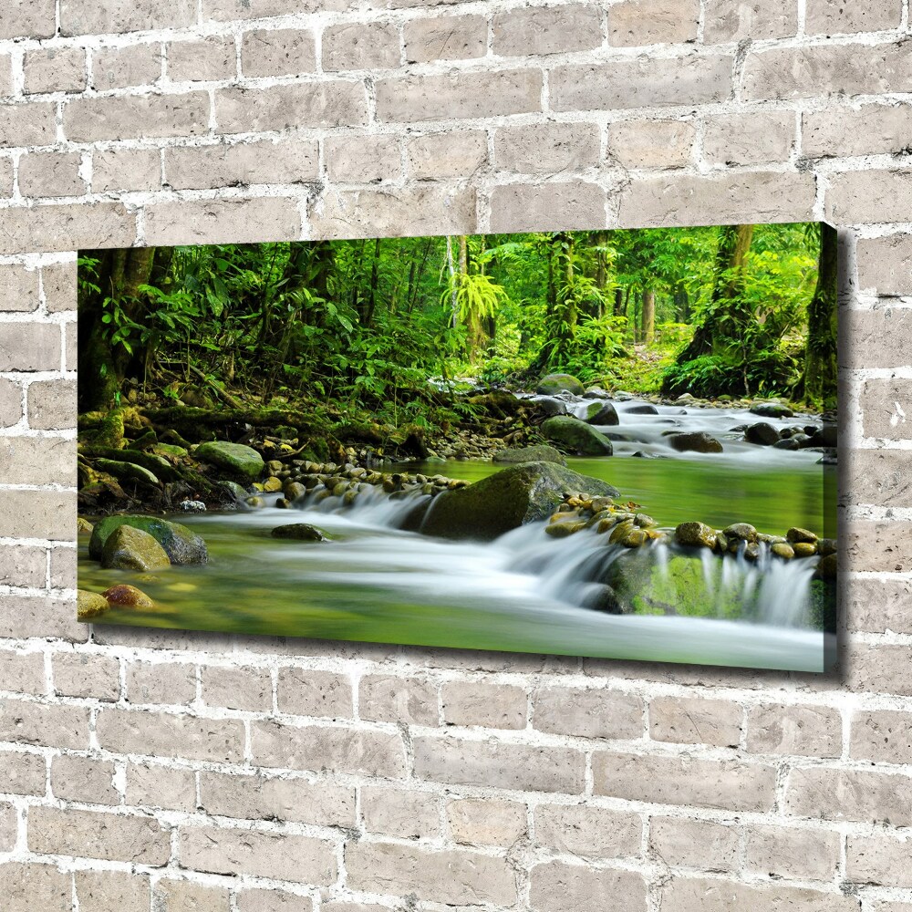 Tableau photo sur toile Ruisseau de montagne