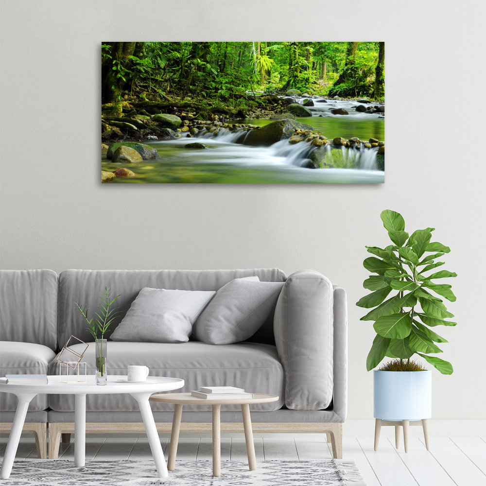 Tableau photo sur toile Ruisseau de montagne