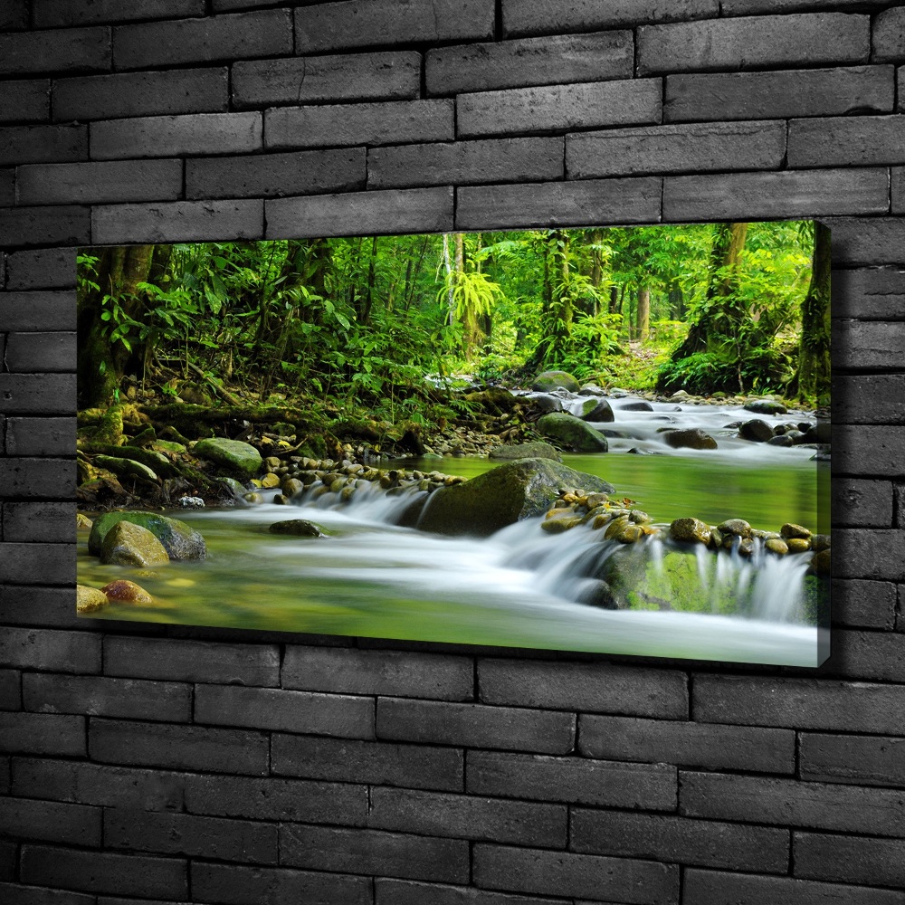 Tableau photo sur toile Ruisseau de montagne