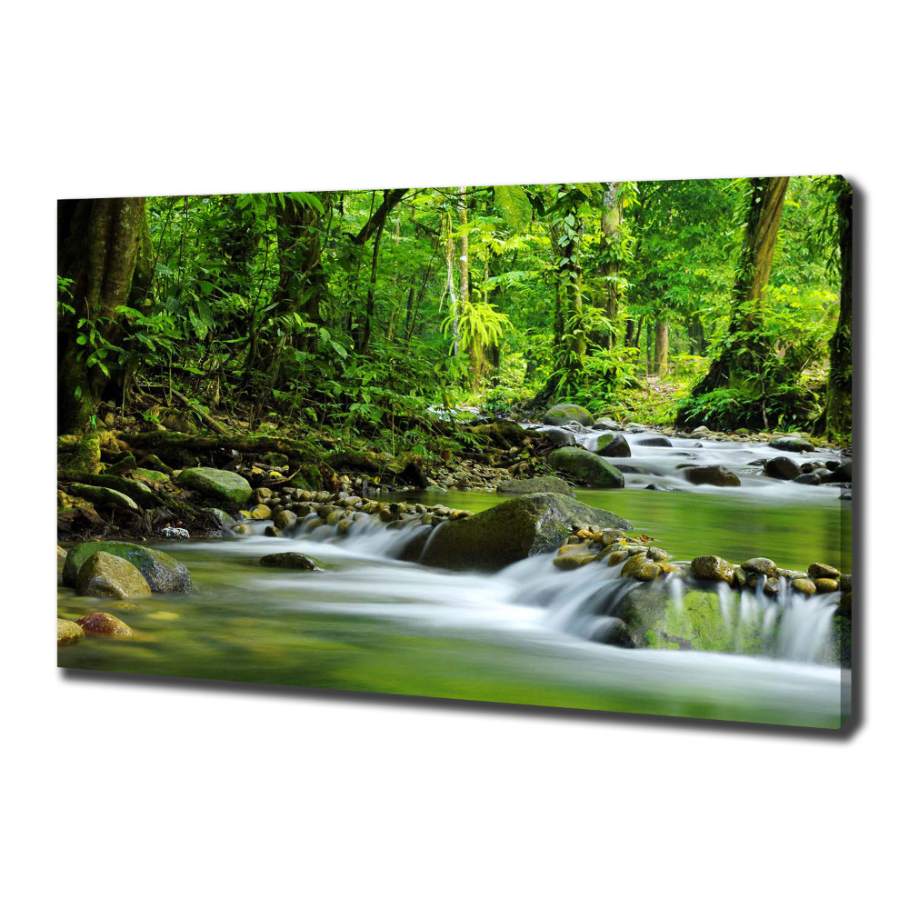 Tableau photo sur toile Ruisseau de montagne