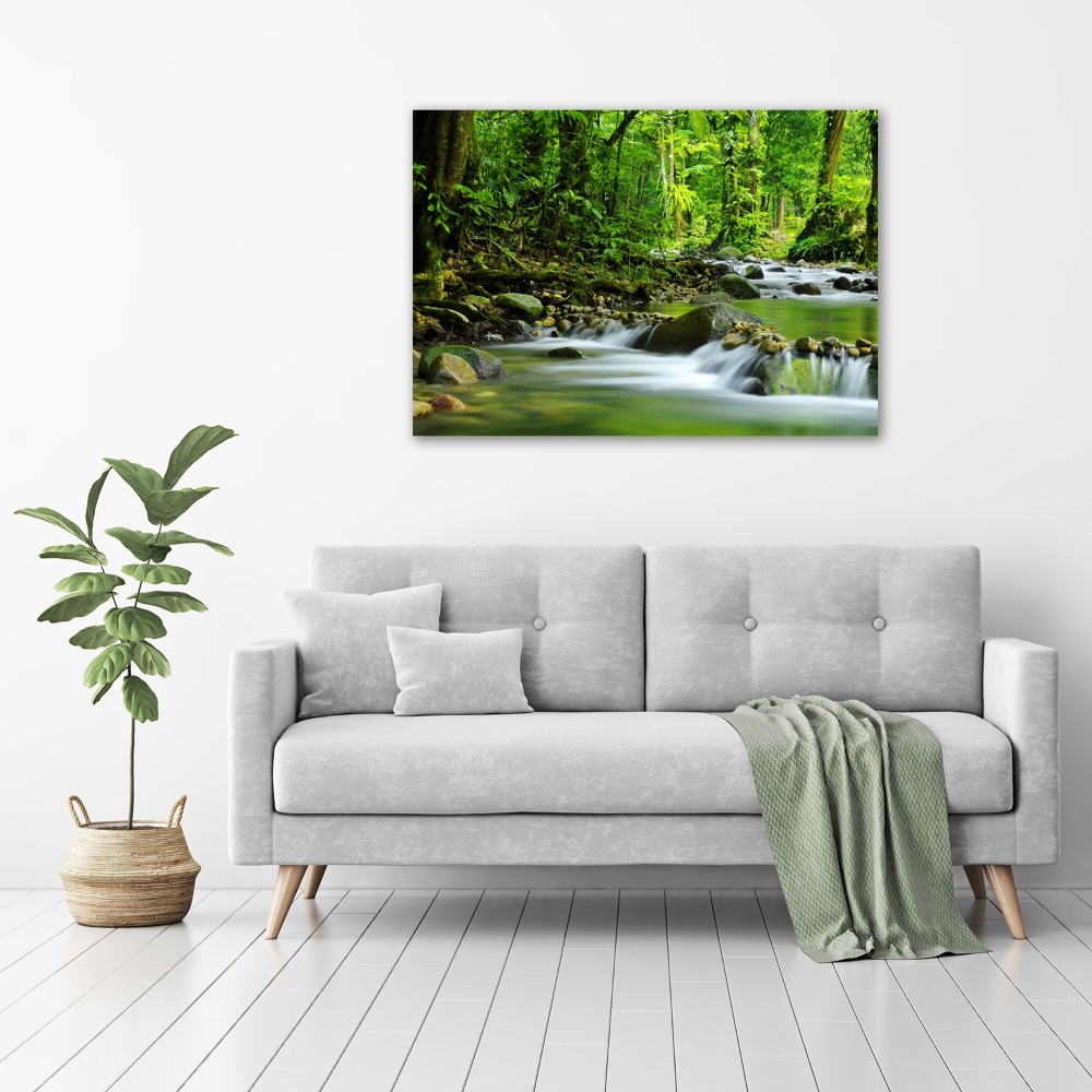 Tableau photo sur toile Ruisseau de montagne