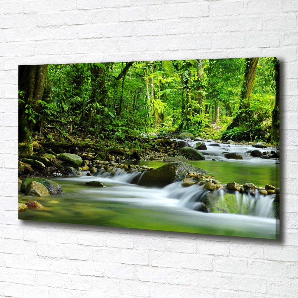 Tableau photo sur toile Ruisseau de montagne