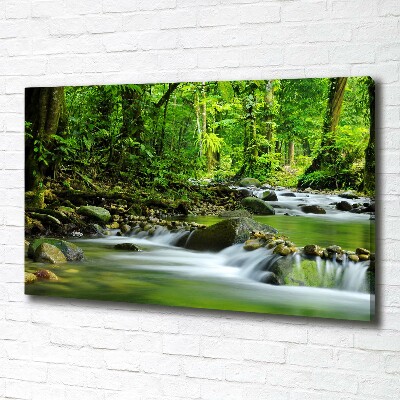 Tableau photo sur toile Ruisseau de montagne