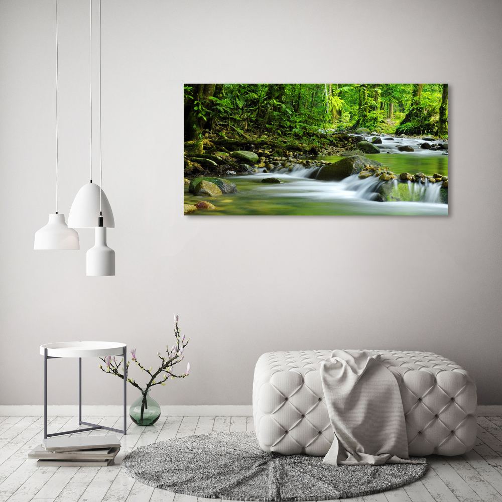 Tableau photo sur toile Ruisseau de montagne