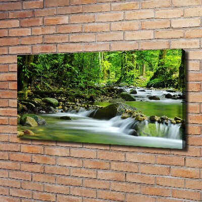 Tableau photo sur toile Ruisseau de montagne