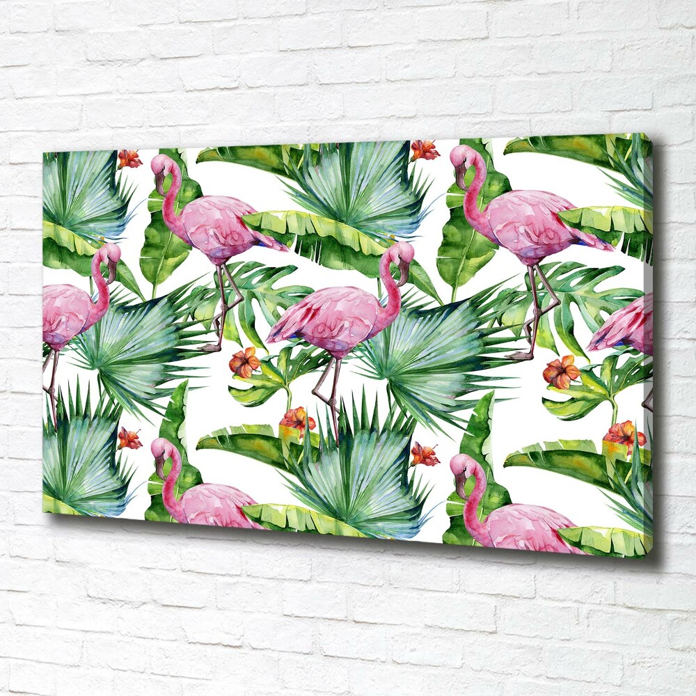 Tableau photo sur toile Flamants et plantes