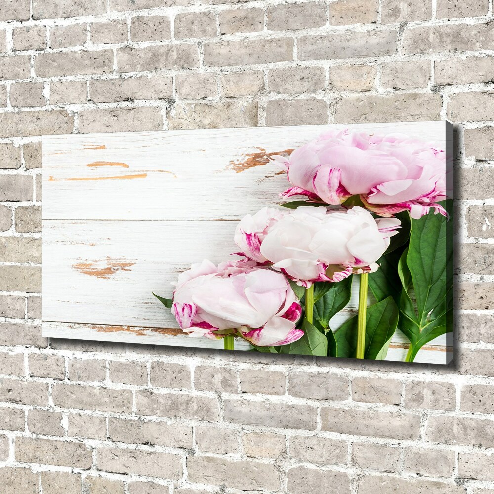 Tableau photo sur toile Pivoines