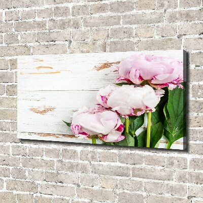 Tableau photo sur toile Pivoines