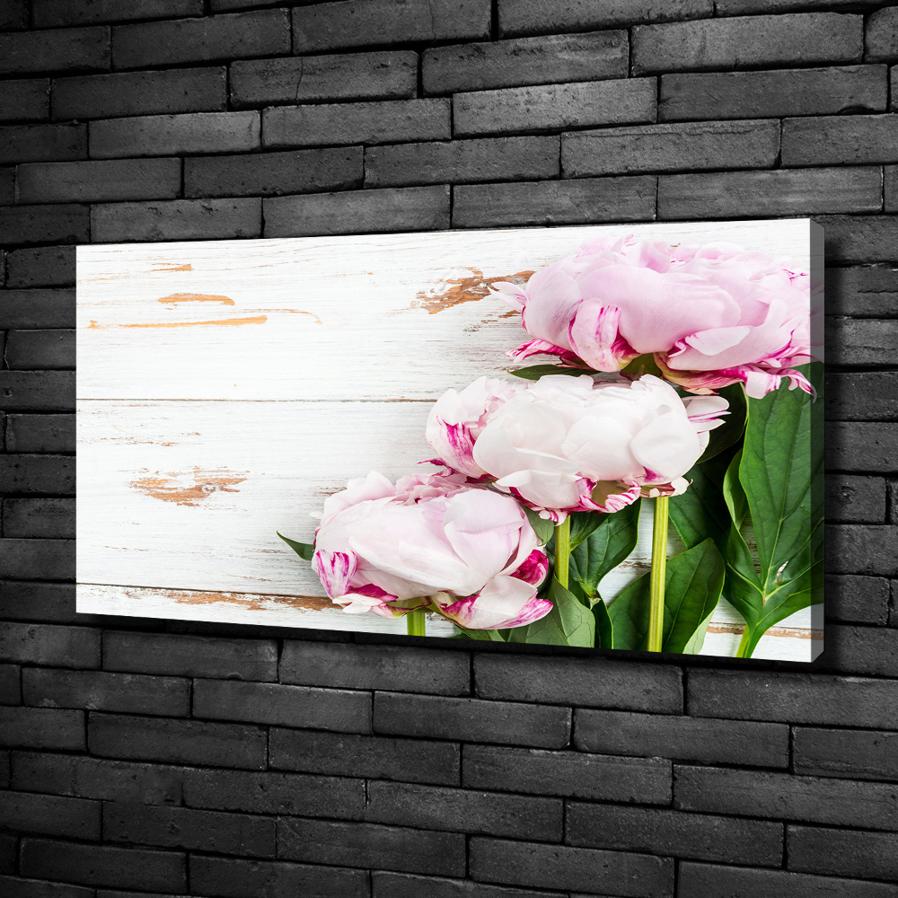 Tableau photo sur toile Pivoines