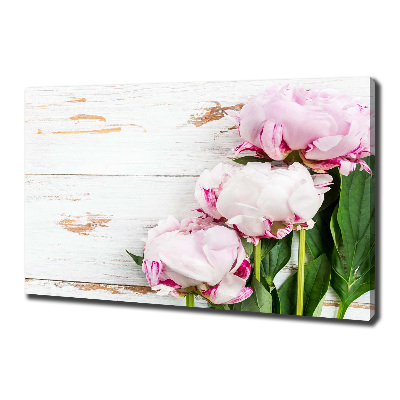 Tableau photo sur toile Pivoines