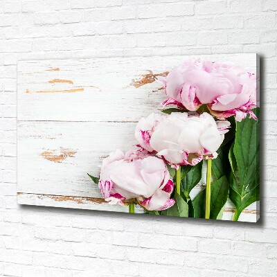 Tableau photo sur toile Pivoines