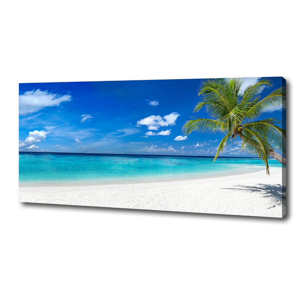 Tableau photo sur toile Plage exotique