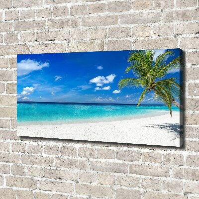 Tableau photo sur toile Plage exotique