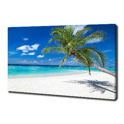 Tableau photo sur toile Plage exotique