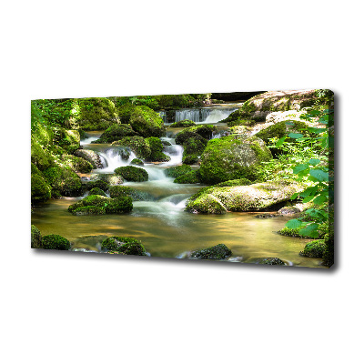 Tableau photo sur toile Chute d'eau