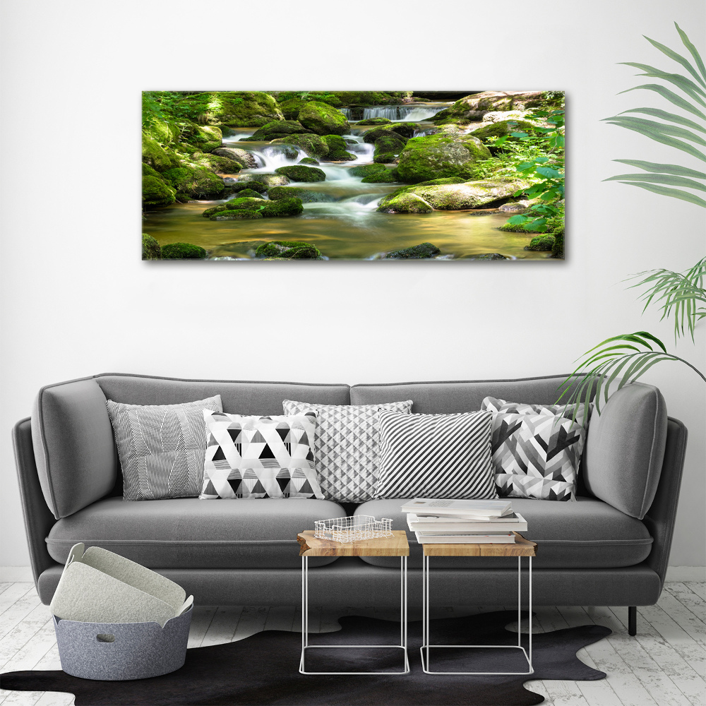 Tableau photo sur toile Chute d'eau