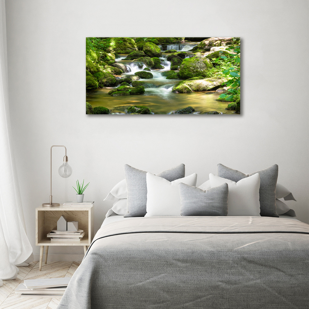 Tableau photo sur toile Chute d'eau