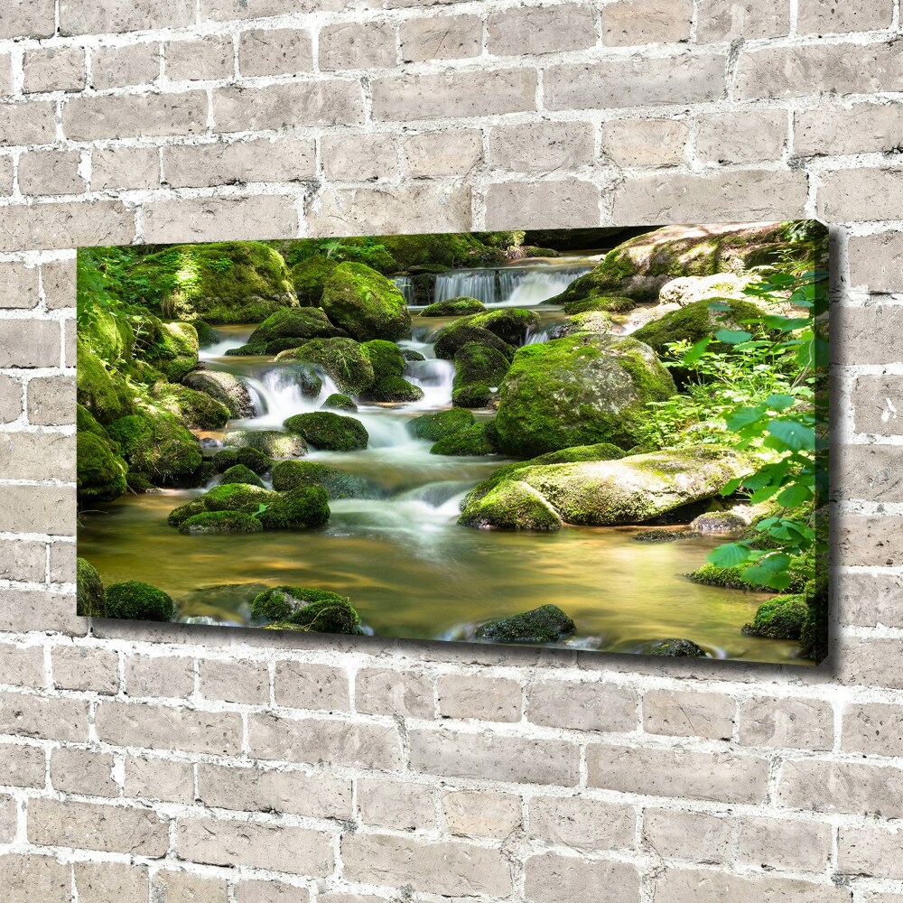 Tableau photo sur toile Chute d'eau