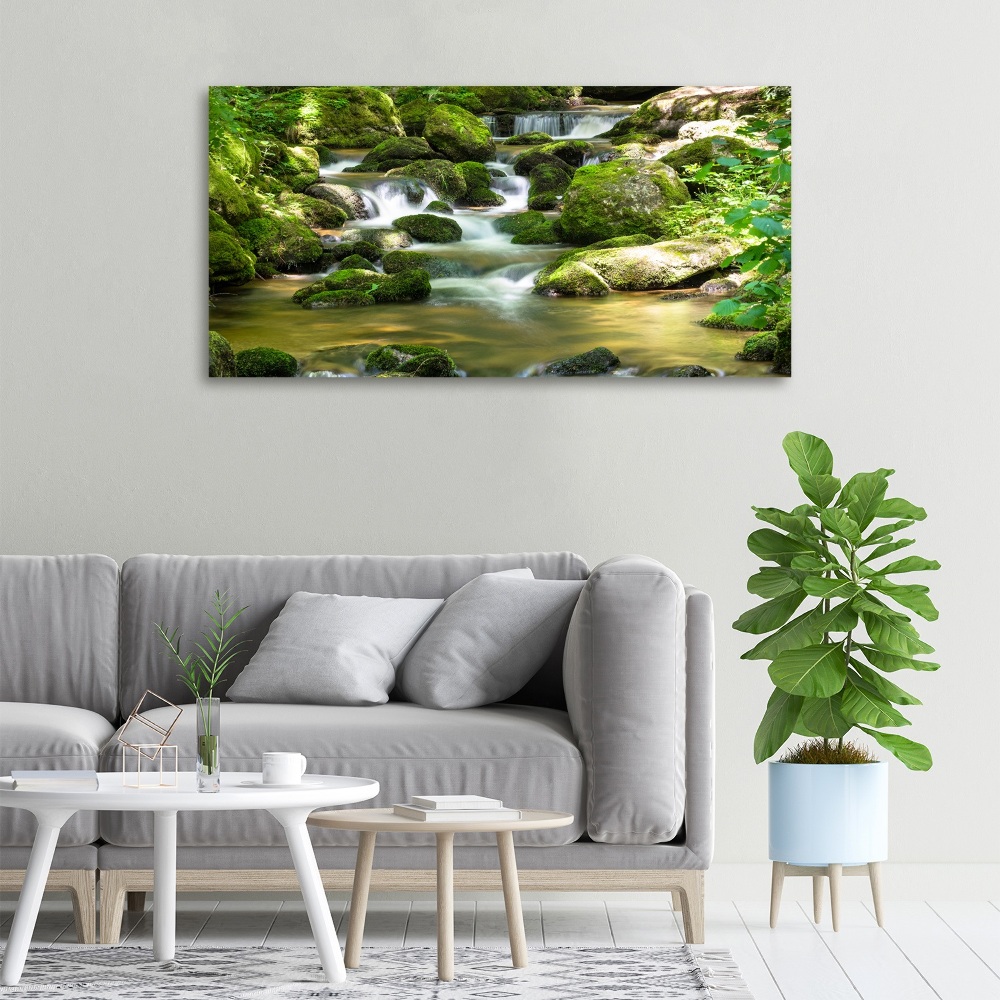 Tableau photo sur toile Chute d'eau